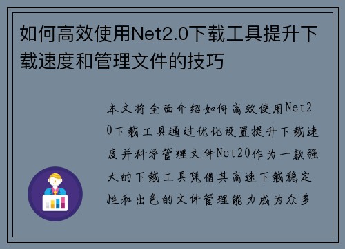 如何高效使用Net2.0下载工具提升下载速度和管理文件的技巧